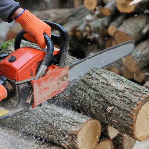 6 mistakes to avoid when buying a chainsaw