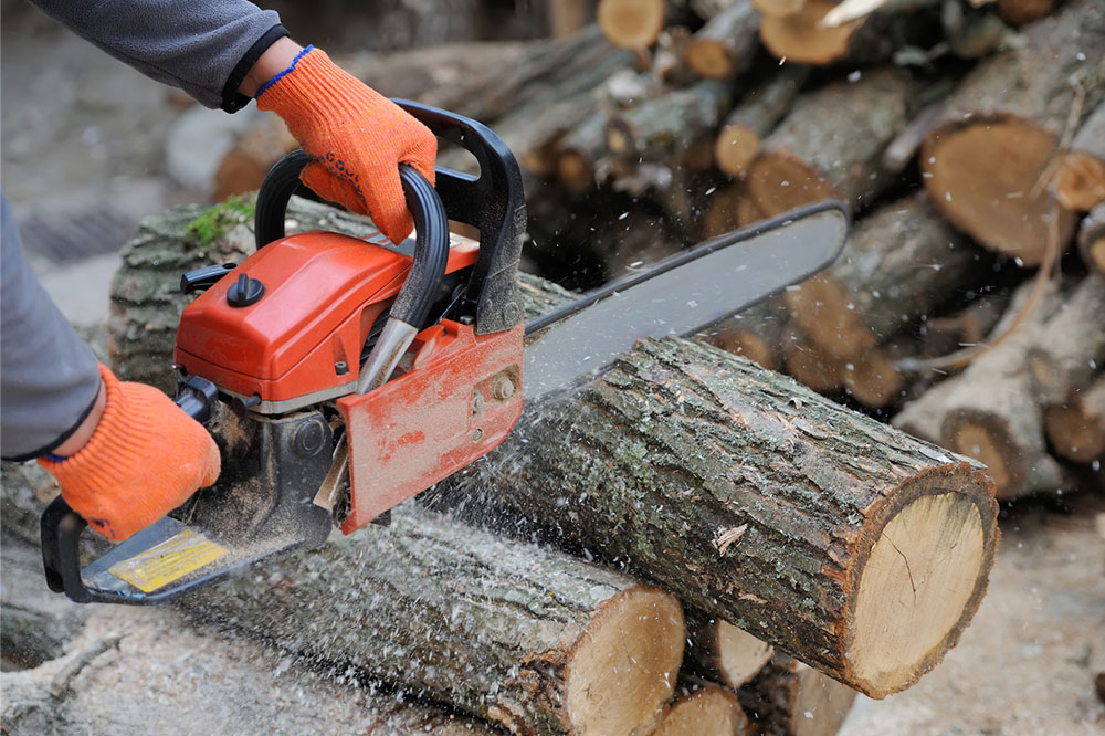 6 mistakes to avoid when buying a chainsaw