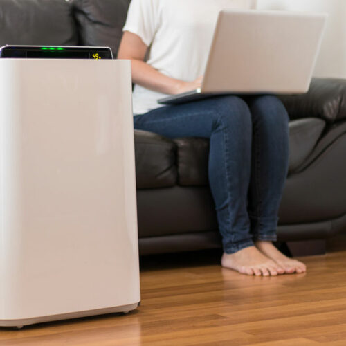 Top 7 indoor purifiers for improving air quality