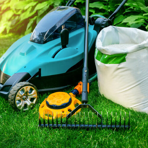 6 effective lawn care tips to maintain a green yard