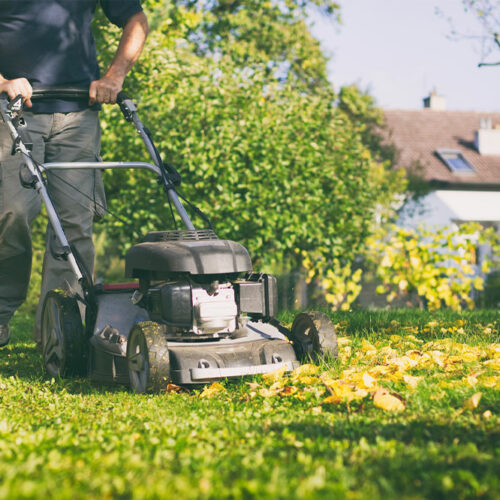 6 yard maintenance hacks that are not effective