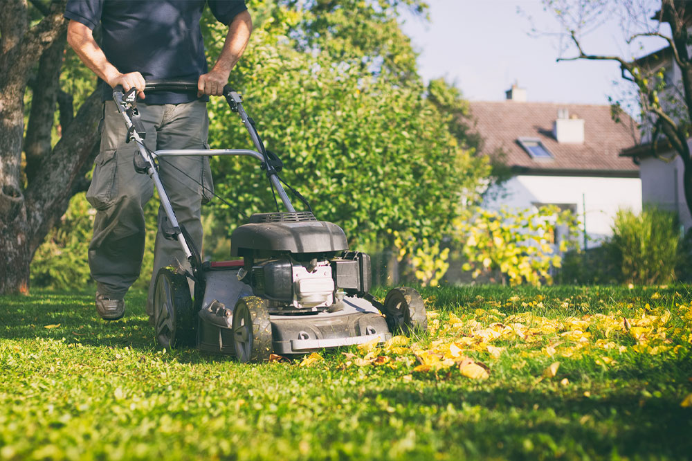 6 yard maintenance hacks that are not effective